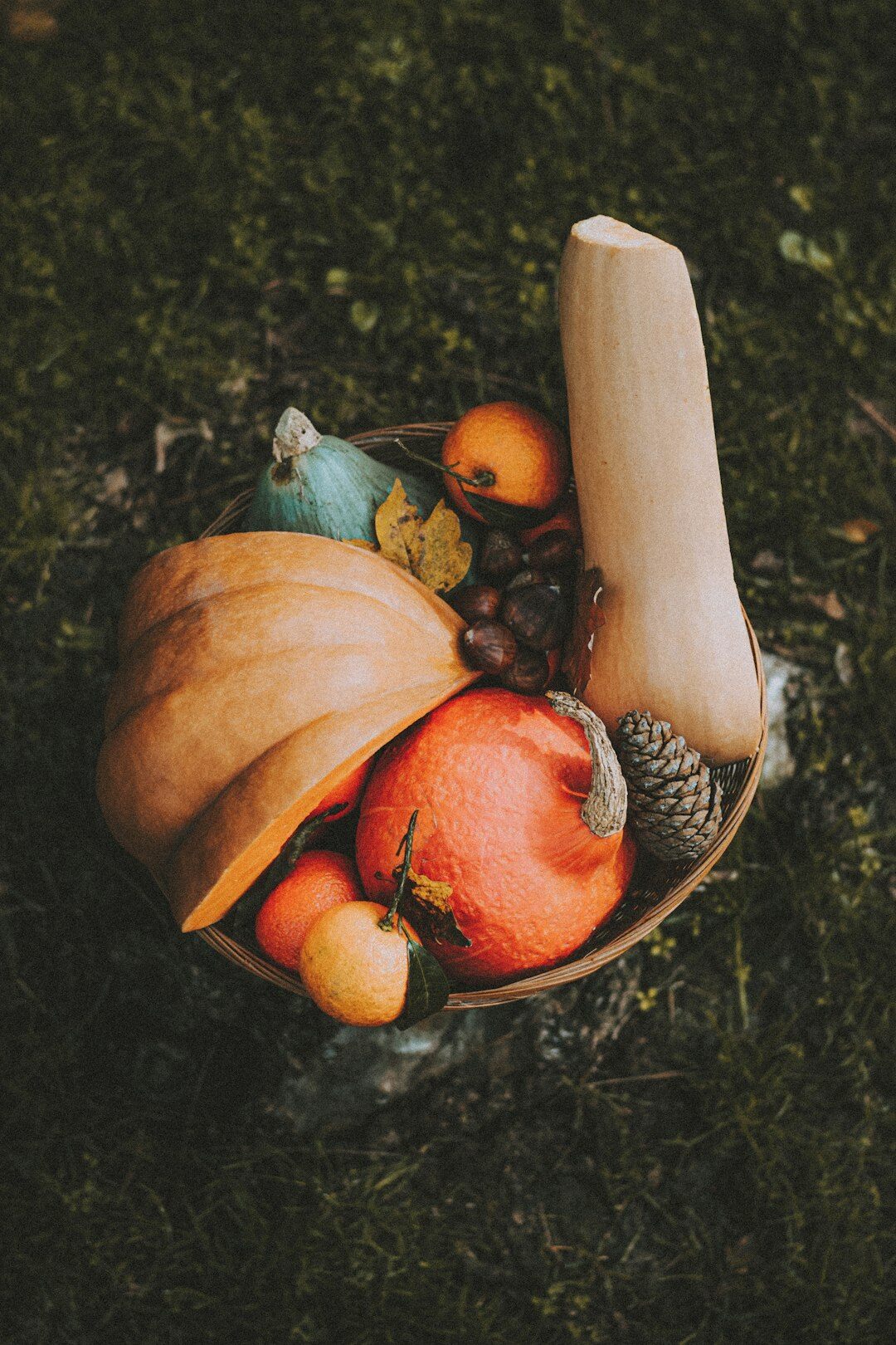 Basket of mushrooms, apples and pumpkins in autumn