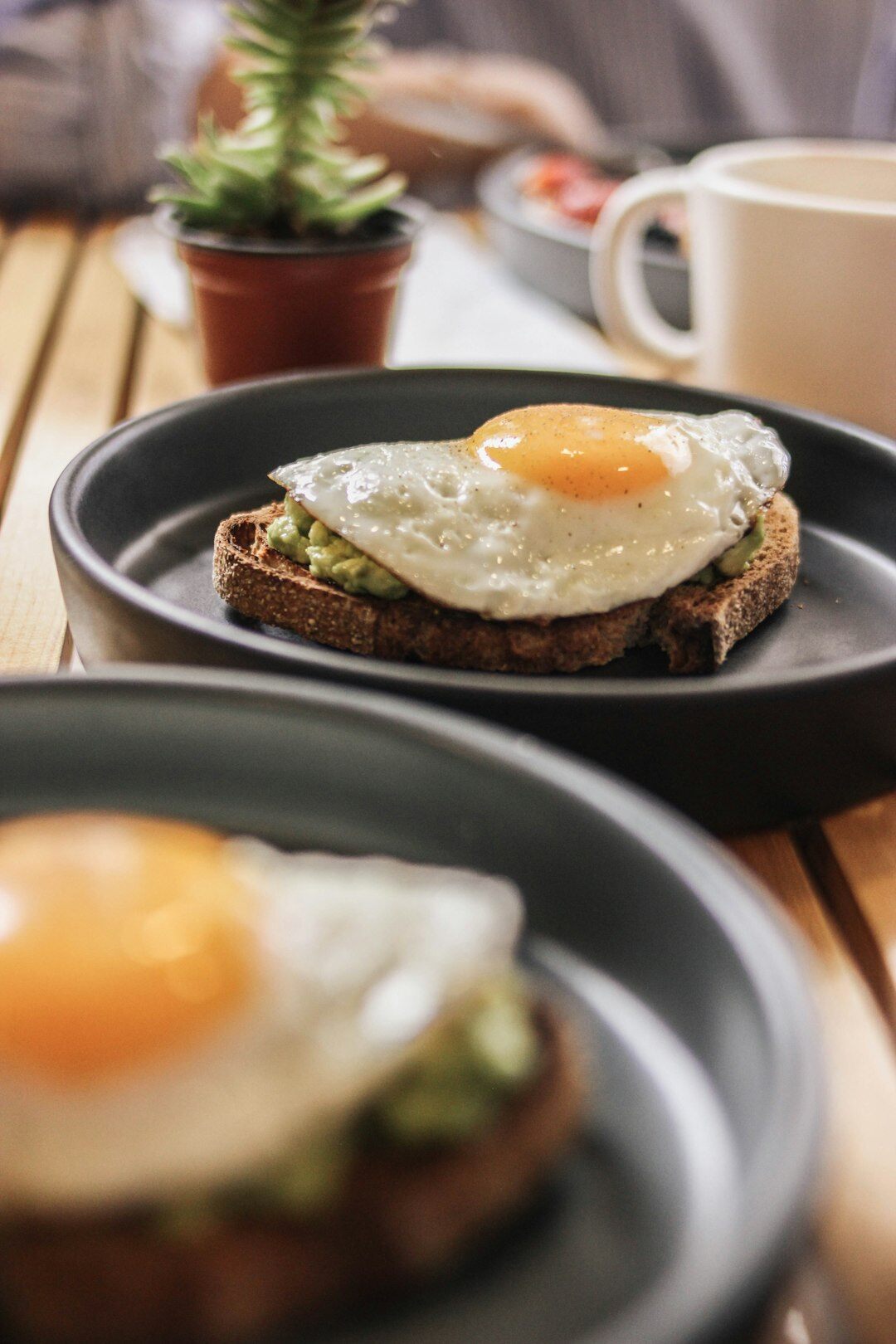 avocado toast with egg